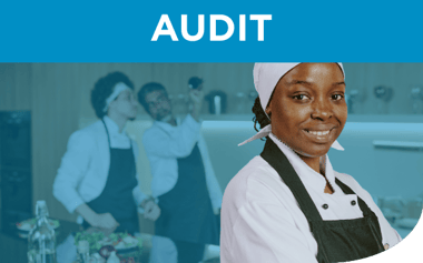 Audit - Lt Blue - TT